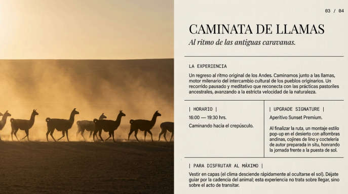Caminata de Llamas