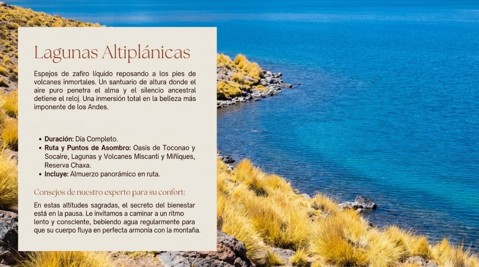 Lagunas Altiplanicas