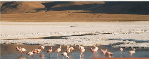 Salar de Atacama