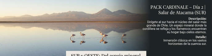 Salar de Atacama - Sur