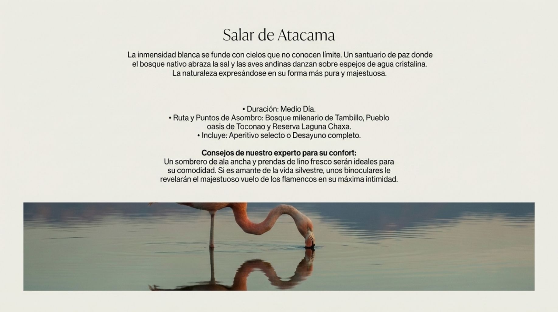 Salar de atacama