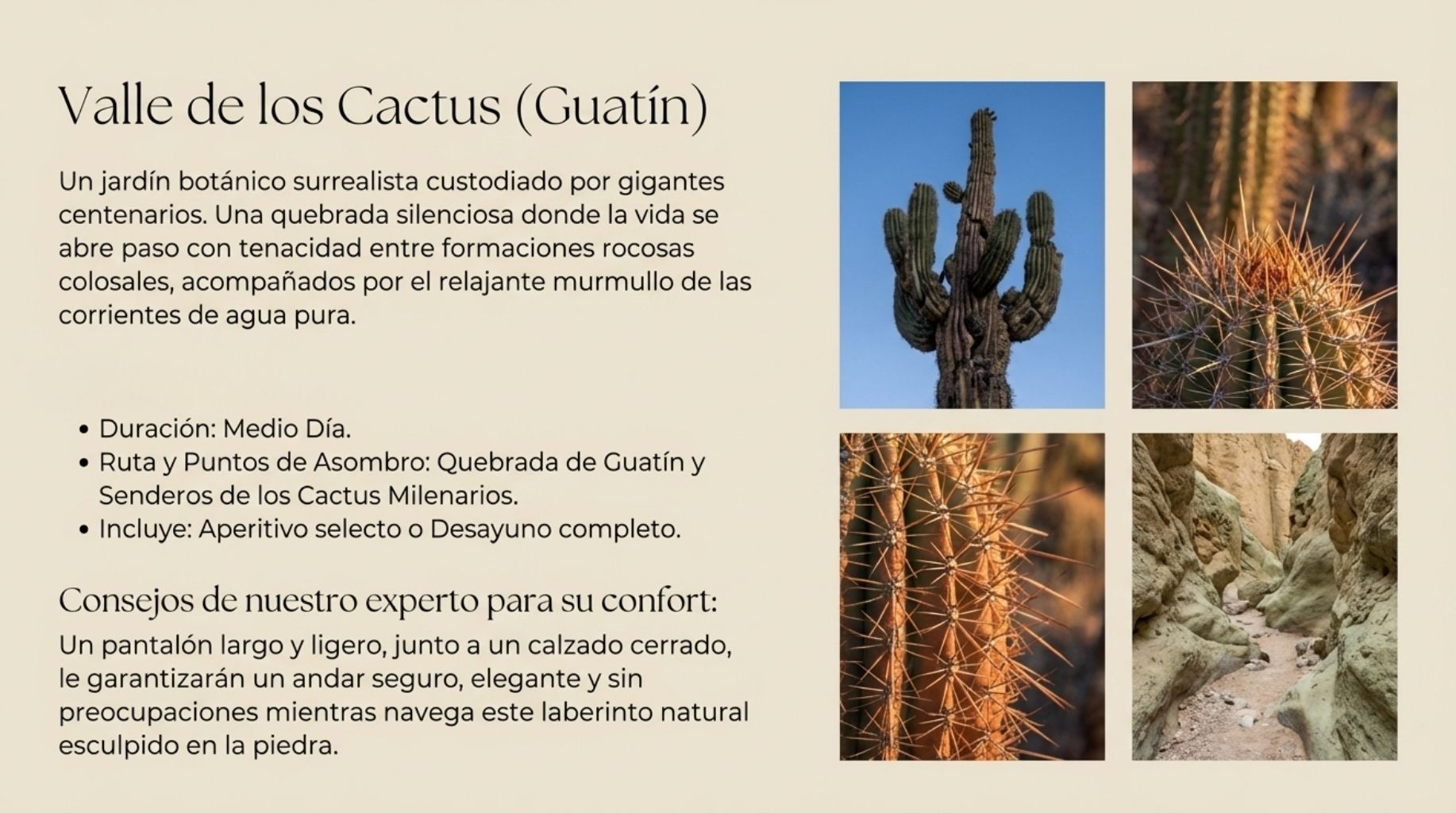 Valle de los cactus