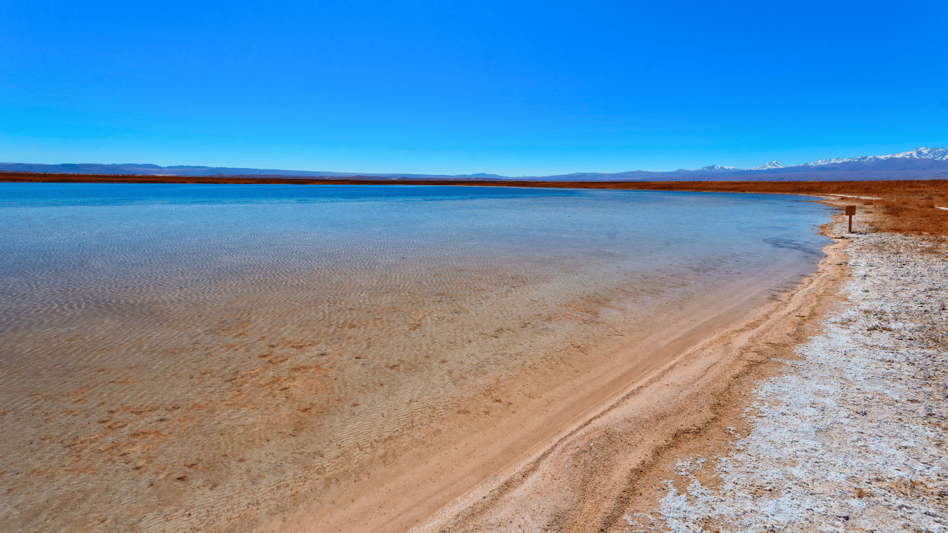 Laguna Cejar + Ojos del Salar + Tebenquiche