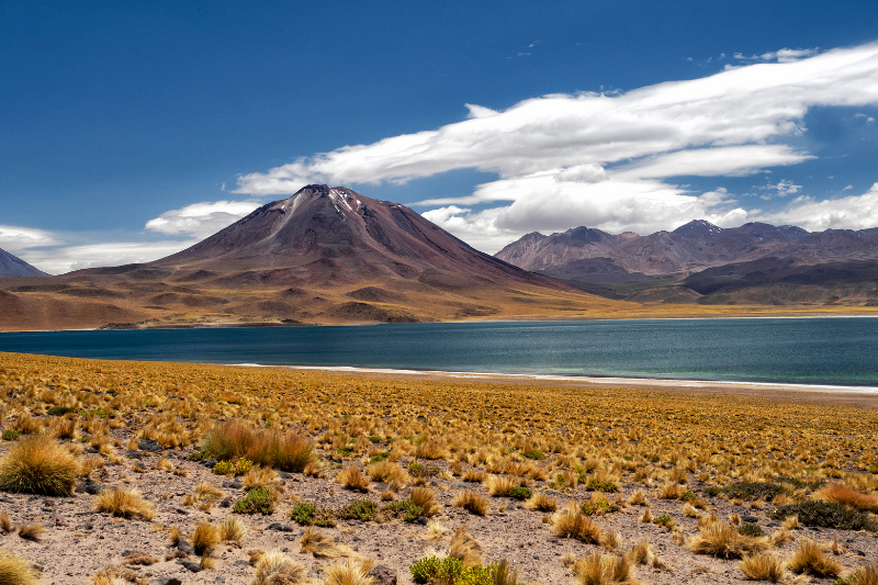 Lagunas Altiplanicas