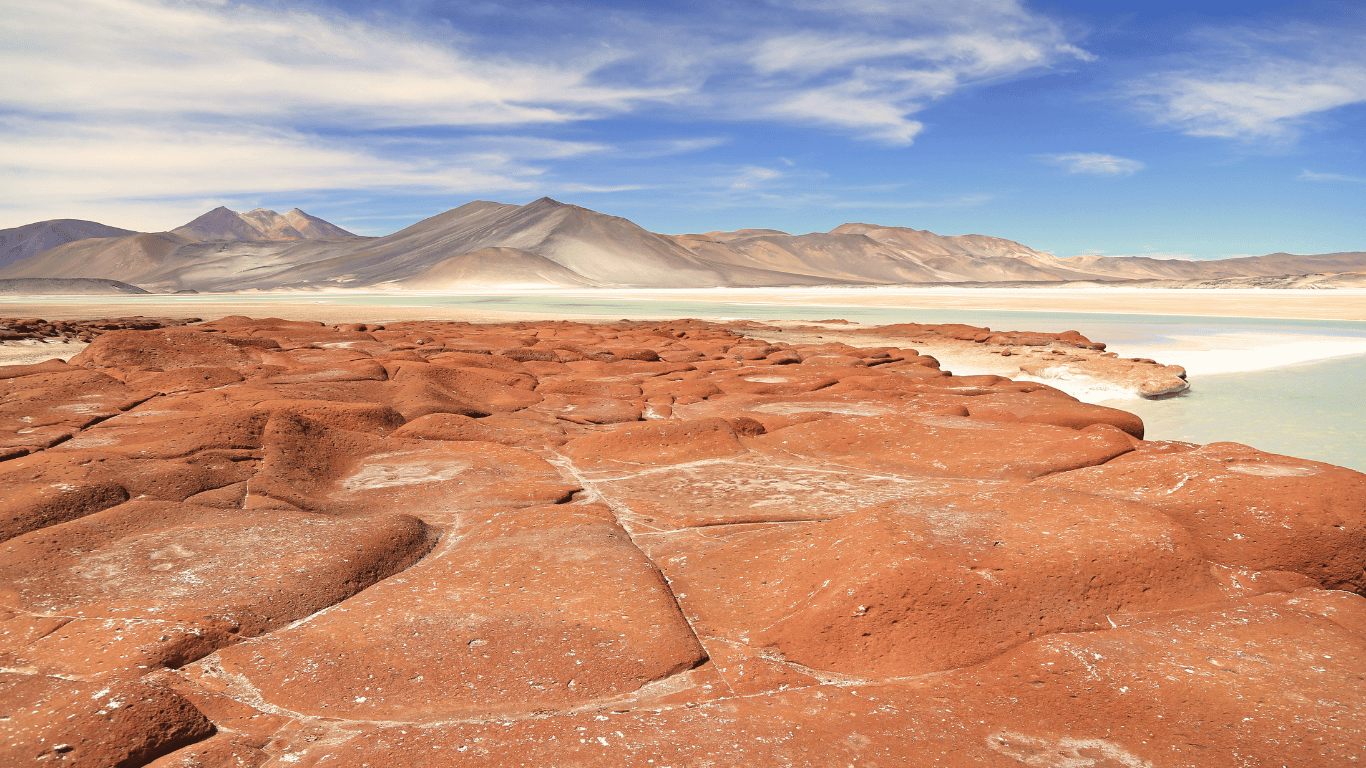 Piedras Rojas + Lagunas Altiplánicas + Laguna Chaxa